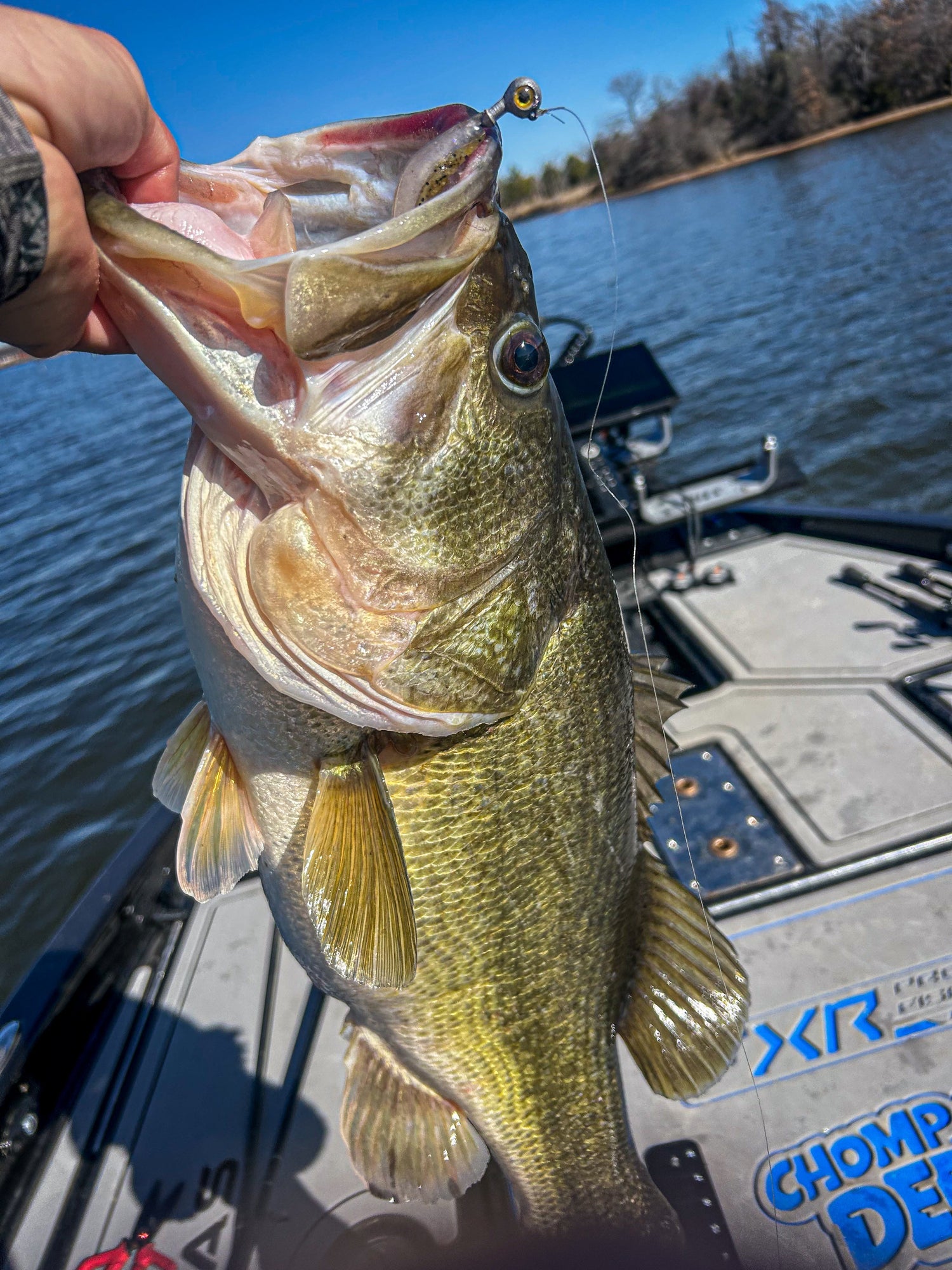 Unlocking the Power of Forward-Facing Sonar: Why the Radar Love Jig is a Game Changer