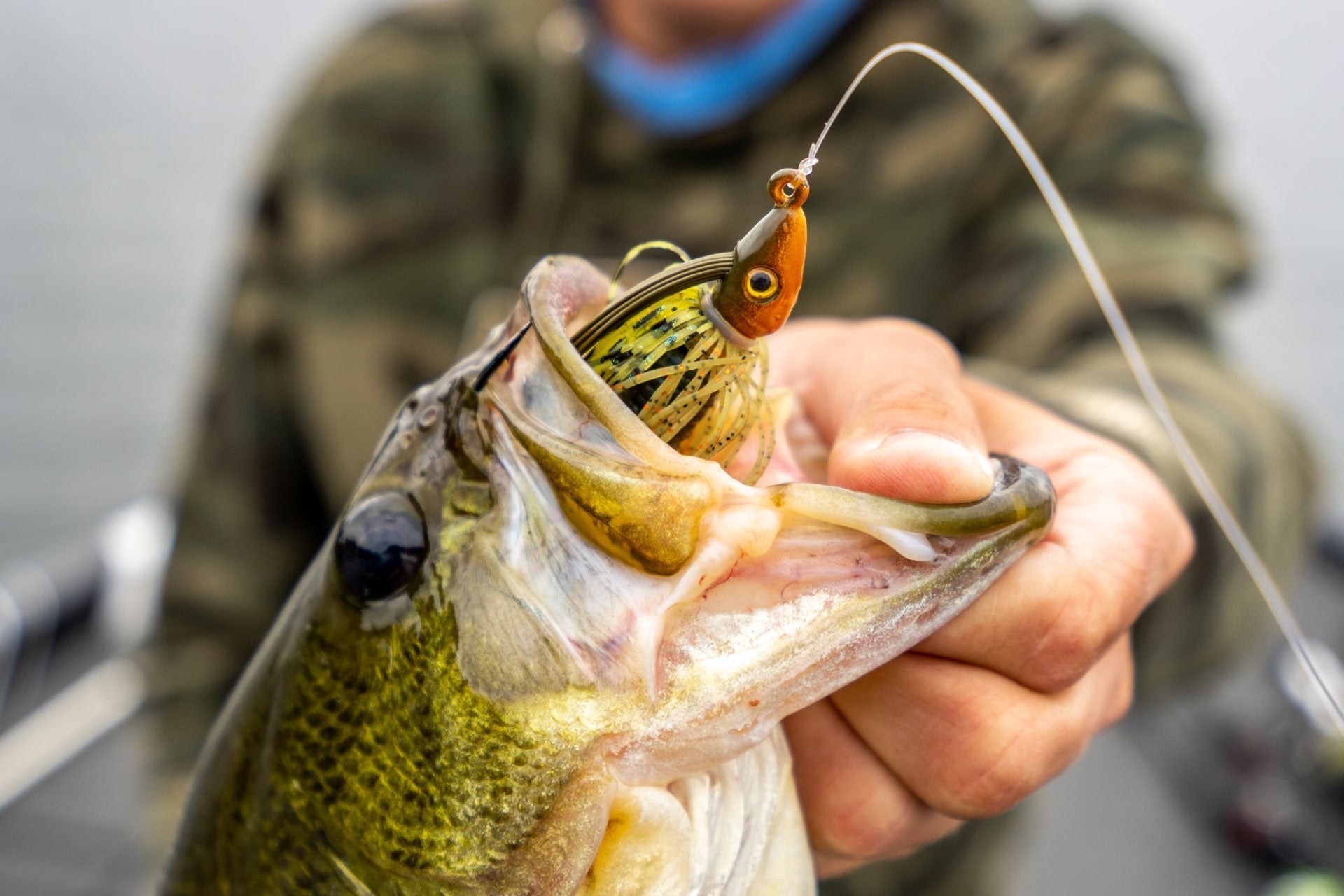 Product Breakdown: Heavy Cover Edition Pro Swim Jig