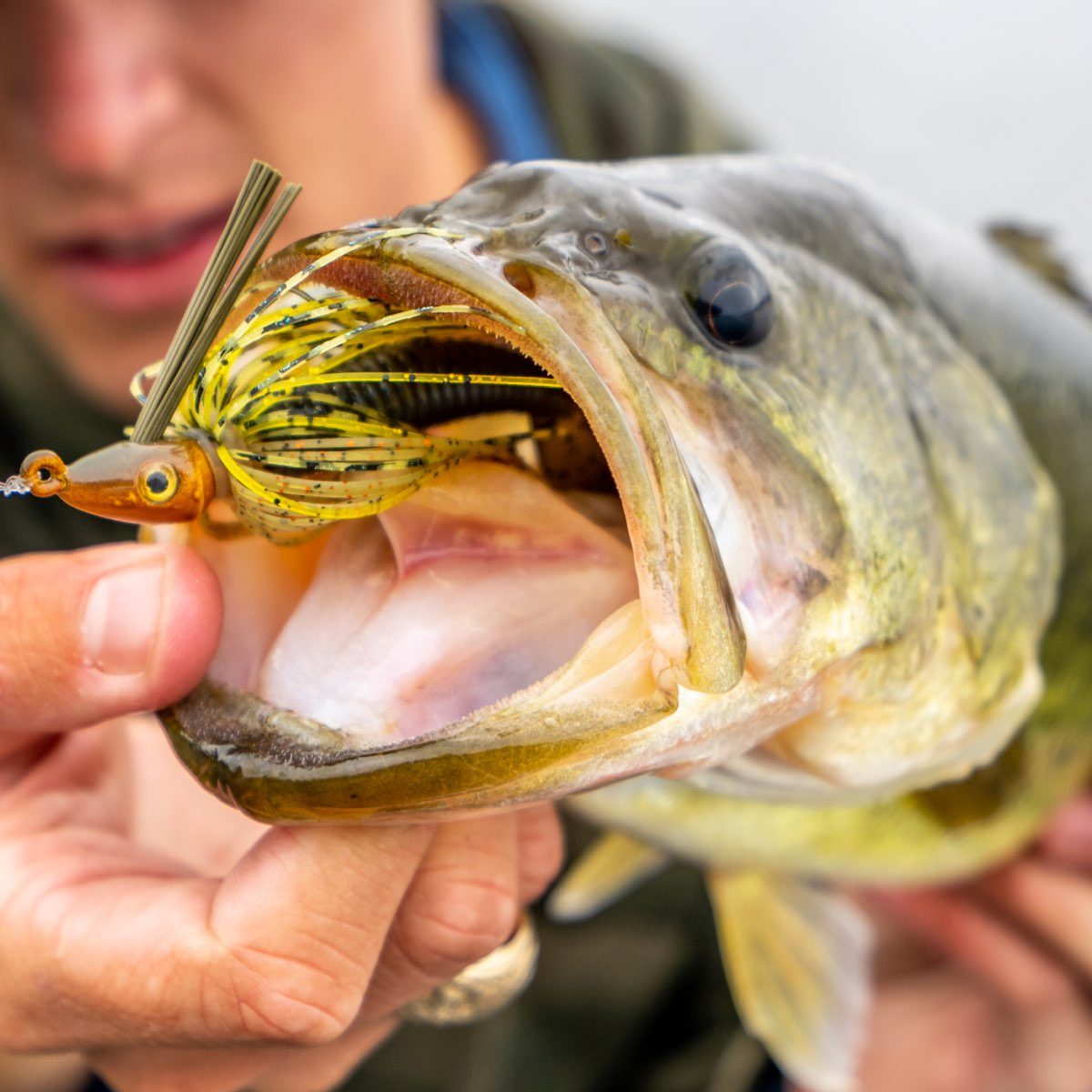 All About Spinnerbaits with Seth Feider